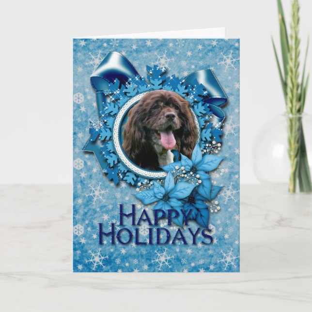 Weihnachten - blaue Schneeflocken - Cocker spaniel (Vorderseite)