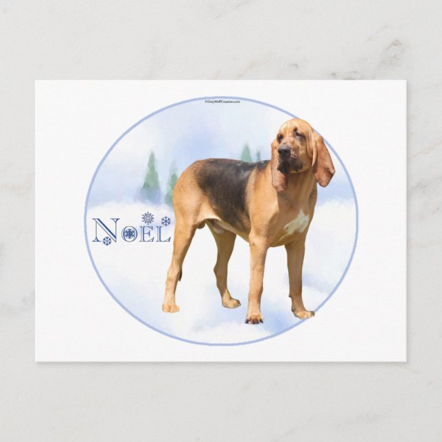 Weihnachten Bloodhound (Vorderseite)