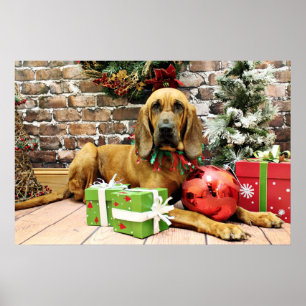 Weihnachten - Bloodhound - Penney Poster