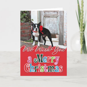 Weihnachten - Boston Terrier - Meilen