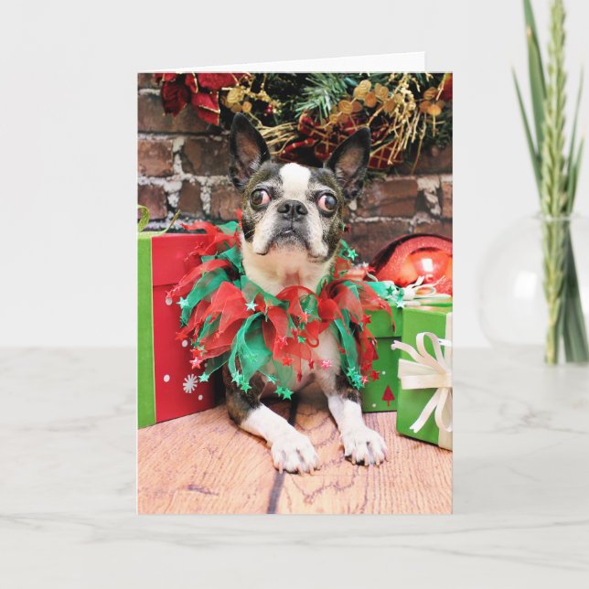 Weihnachten - Boston Terrier - Natur (Vorderseite)