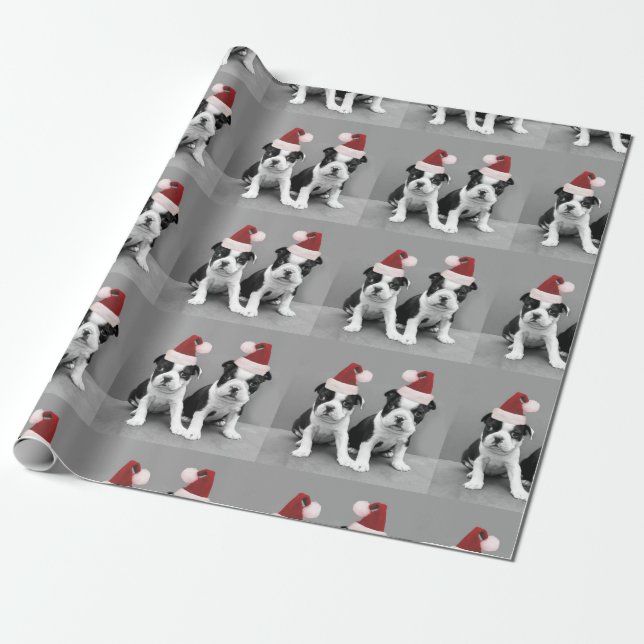 Weihnachten Boston Terrier Welpen Geschenkpapier (Ungerollt)
