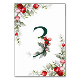 Weihnachten Botanischer Tisch 3 Hochzeitsstimmung  Tischnummer