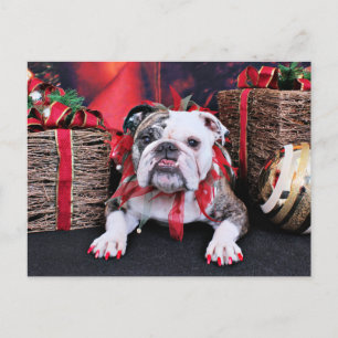 Weihnachten - Bulldog - Delilah