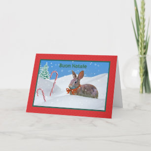 Weihnachten, Buon Natale, Italienisch, Kaninchen,  Feiertagskarte