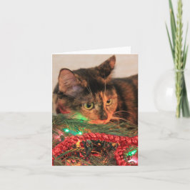 Weihnachten Calico, Cat mag Lichter! Blanke Noten!