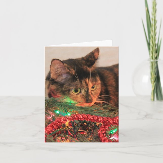 Weihnachten Calico, Cat mag Lichter! Blanke Noten! (Vorderseite)