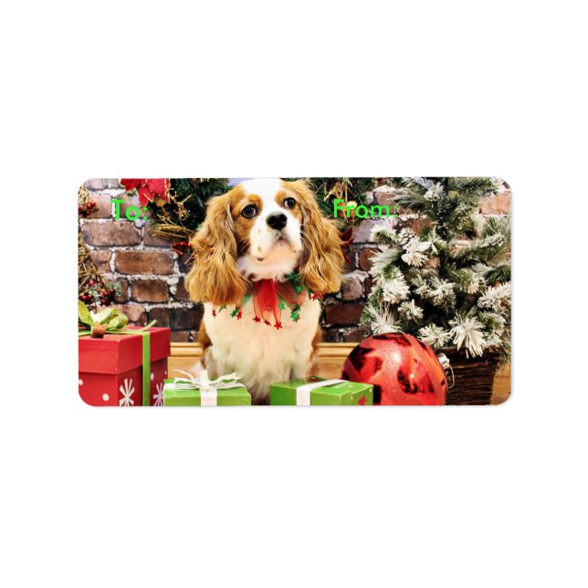 Weihnachten - Cavalier King Charles Spaniel Maveri Adressaufkleber (Vorne)