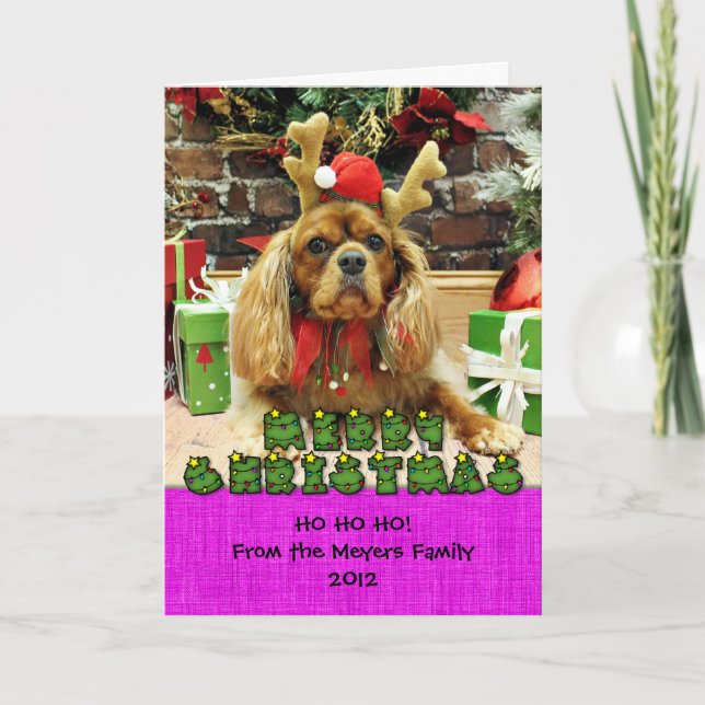 Weihnachten - Cavalier King Charles Spaniel - Meye (Vorderseite)