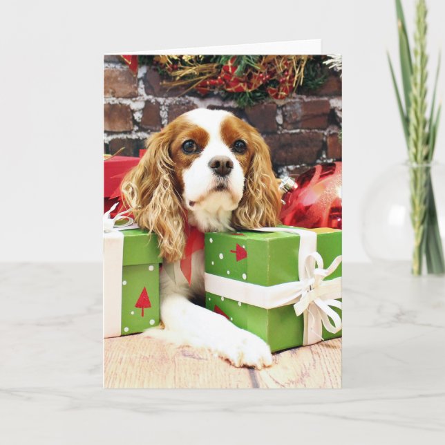 Weihnachten - Cavalier King Charles Spaniel - Popp (Vorderseite)