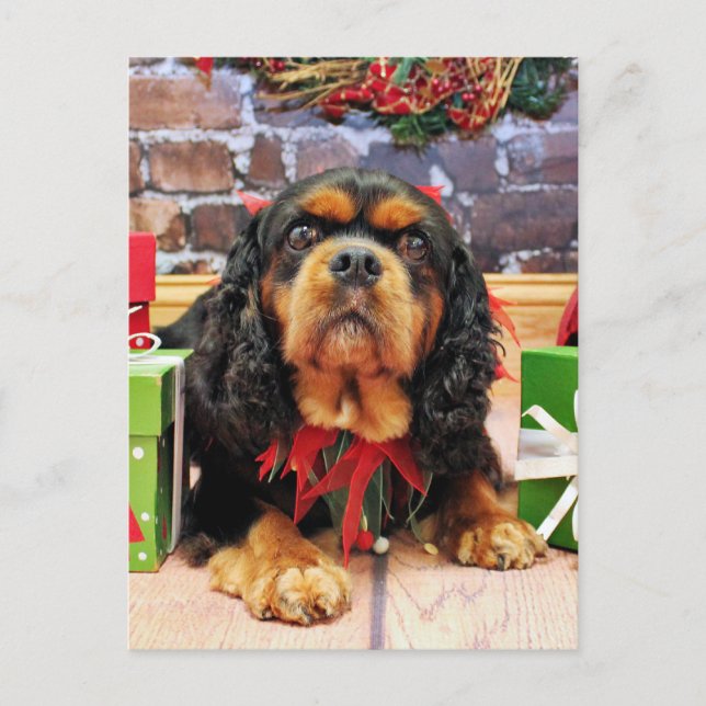 Weihnachten - Cavalier King Charles Spaniel SweetP (Vorderseite)