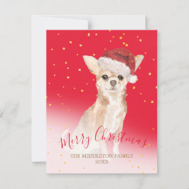 Weihnachten Chihuahua Dog Gold Rote Saison Gruß
