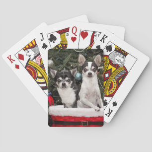 Weihnachten Chihuahua ist in einem roten Korb Spielkarten