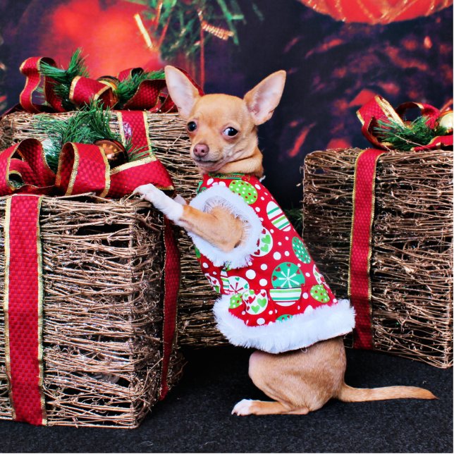 Weihnachten - Chihuahua - Matty Freistehende Fotoskulptur (Vorne)