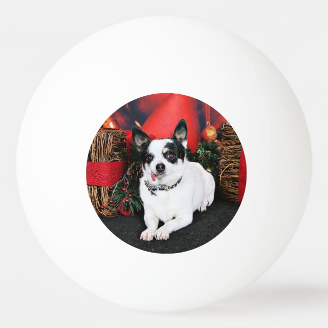 Weihnachten - Chihuahua X - Stella Tischtennisball (Rückseite)