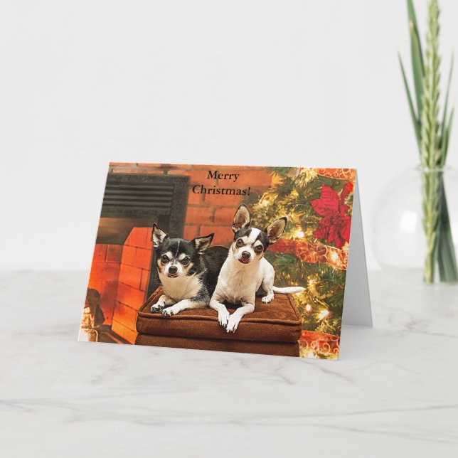 Weihnachten Chihuahuas (Vorderseite)