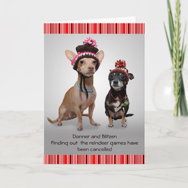 Weihnachten Chihuahuas (Vorderseite)