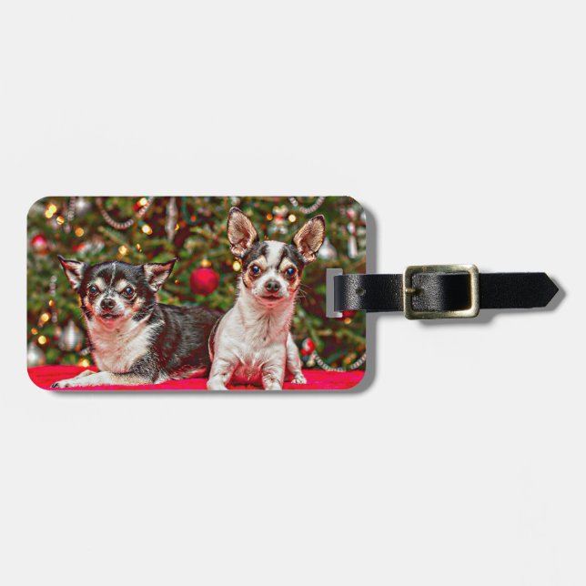 Weihnachten Chihuahuas Gepäckanhänger (Vorderseite horizontal)