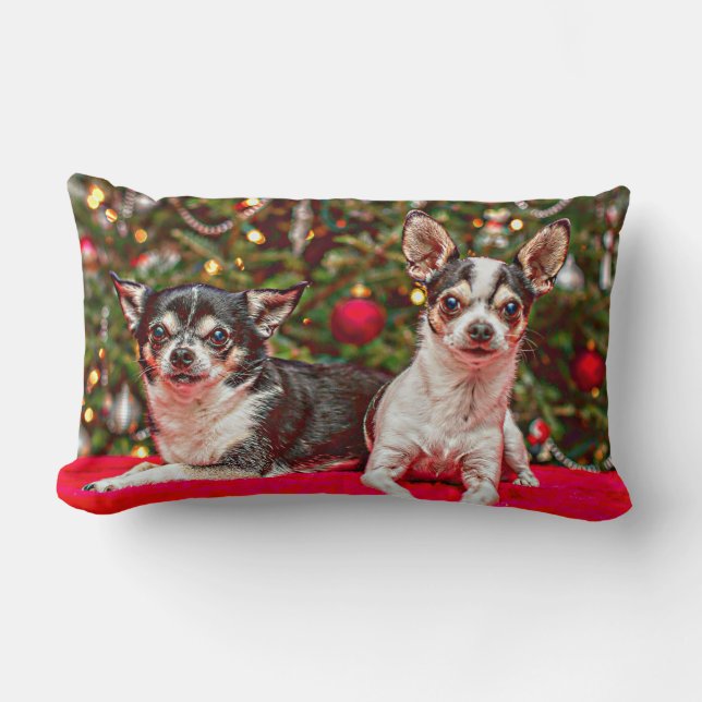 Weihnachten Chihuahuas Lendenkissen (Vorderseite)
