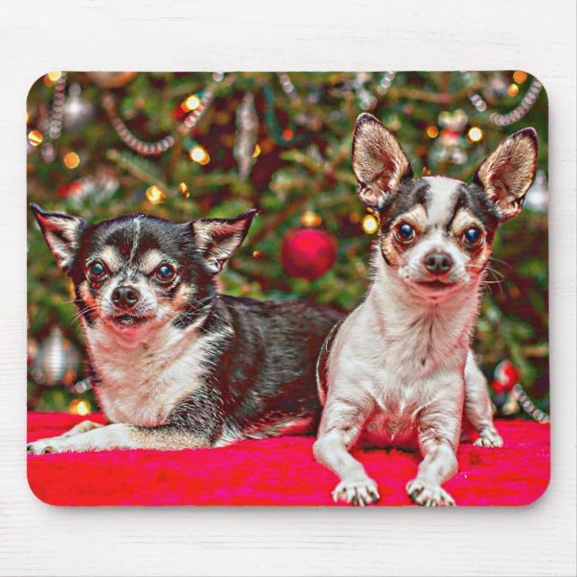 Weihnachten Chihuahuas Mousepad (Vorne)