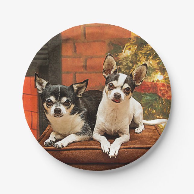 Weihnachten Chihuahuas Pappteller (Vorderseite)