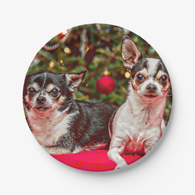 Weihnachten Chihuahuas Pappteller (Vorderseite)