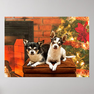 Weihnachten Chihuahuas Poster