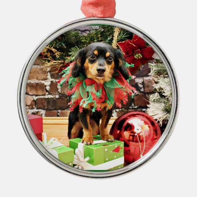 Weihnachten - Chiweenie - Titus Ornament Aus Metall (Vorne)