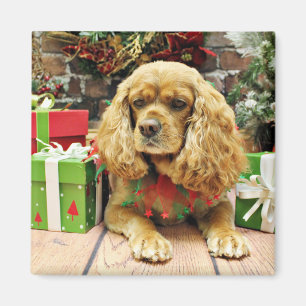Weihnachten - Cockalier - Suzy Magnet