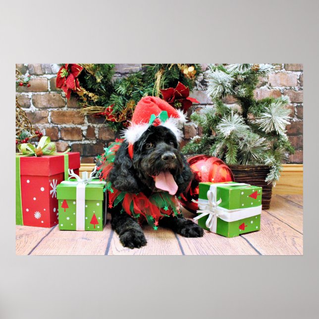 Weihnachten - Cockapoo - Jack Poster (Vorne)