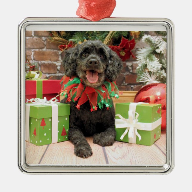 Weihnachten - Cockapoo - Trumbo Silbernes Ornament (Vorne)