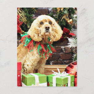 Weihnachten - Cocker Spaniel - Maggie