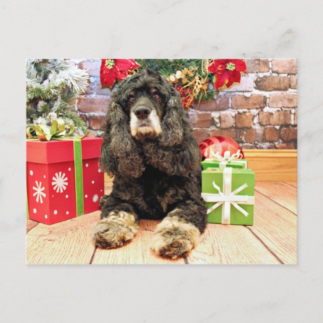 Weihnachten - Cocker spaniel - Marley (Vorderseite)