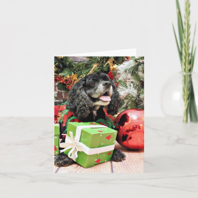Weihnachten - Cocker spaniel - Marshall (Vorderseite)