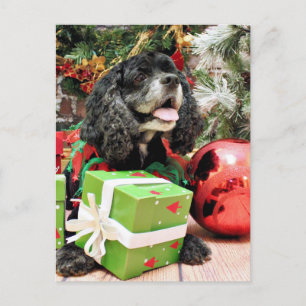 Weihnachten - Cocker Spaniel - Marshall