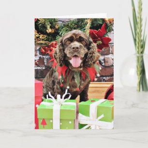 Weihnachten - Cocker spaniel - Murphy