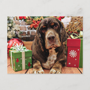 Weihnachten - Cocker Spaniel - Remmy
