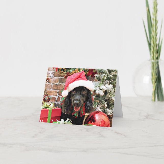 Weihnachten - Cocker Spaniel X - Pepper (Vorderseite)