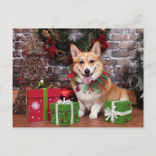 Weihnachten - Corgi - Cal