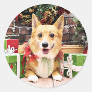 Weihnachten - Corgi - Pancake Runder Aufkleber