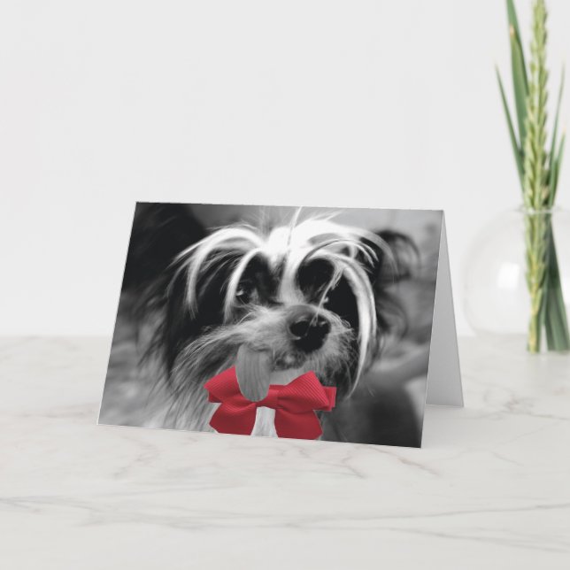 Weihnachten Crested (ICH) (Vorderseite)