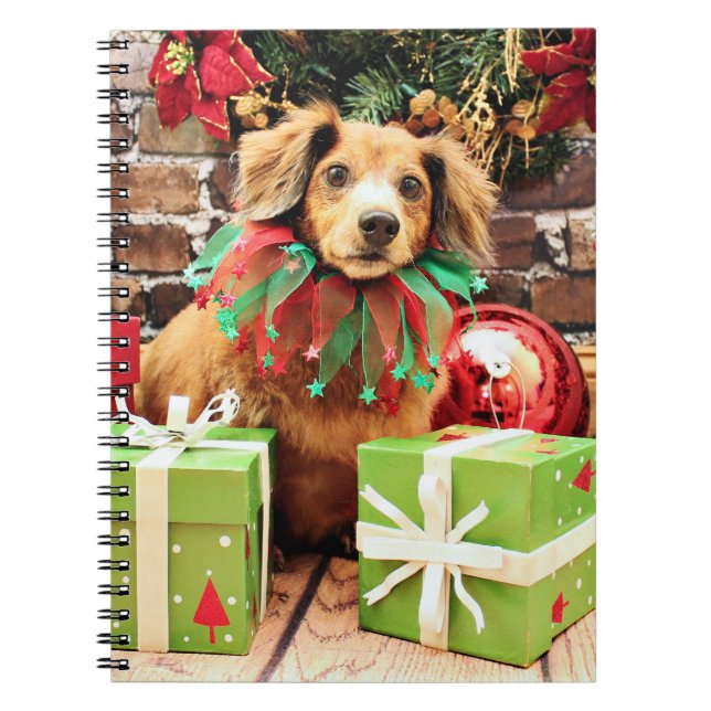 Weihnachten - Dachsund - Heidi Notizblock (Vorderseite)