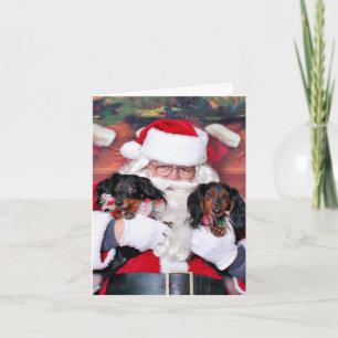Weihnachten - Dackel - Mickey & Madilyn