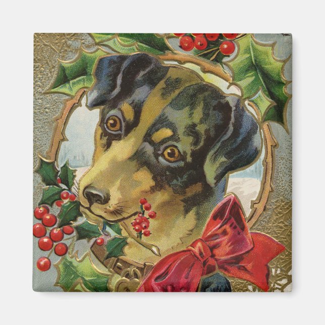 Weihnachten, Dackel Welpen Hund mit Holly Magnet (Vorne)