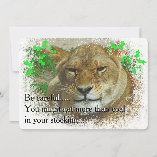 Weihnachten der Löwen (Vorderseite)