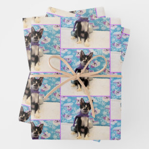 Weihnachten des Cowboys - Katze / Kitten Wrapping  Geschenkpapier Set