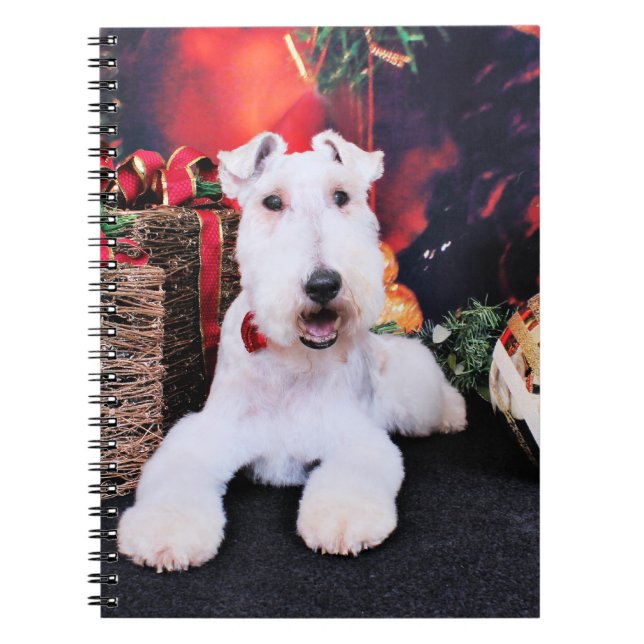 Weihnachten - Draht-Foxterrier - Dexter Notizblock (Vorderseite)