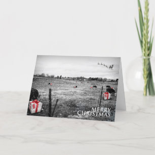 Weihnachten einer Kuh