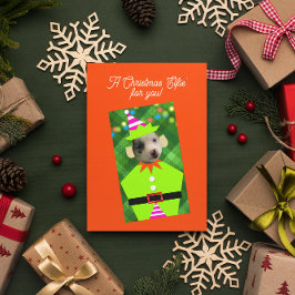 Weihnachten Elfie Personalisierte Haustiere Foto W