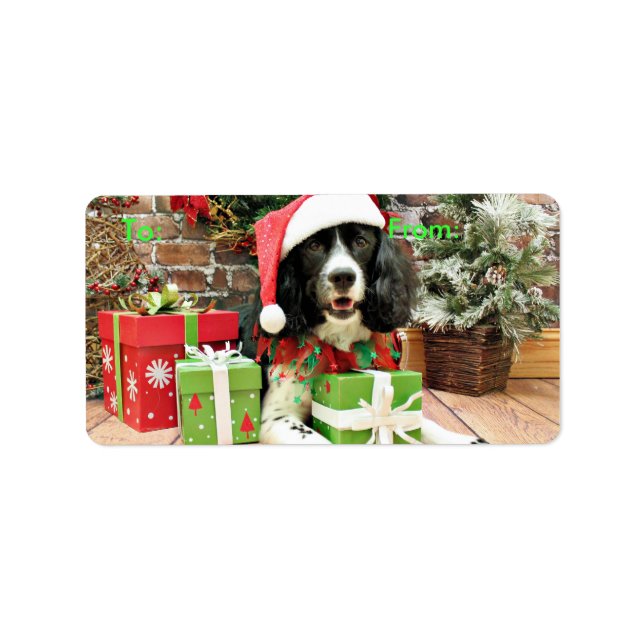 Weihnachten - Englisch Springer Spanisch - Lucy Adressaufkleber (Vorne)